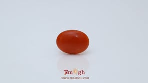 Japanese Red Coral - 2.5 Carat