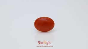 Japanese Red Coral - 2.52 Carat