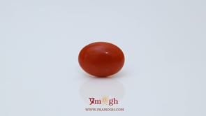 Japanese Red Coral - 2.9 Carat