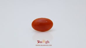 Japanese Red Coral - 2.55 Carat