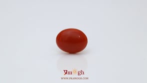Japanese Red Coral - 2.37 Carat