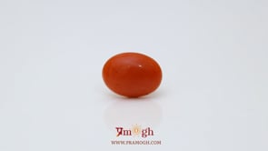 Japanese Red Coral - 2.68 Carat