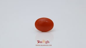 Japanese Red Coral - 2.55 Carat