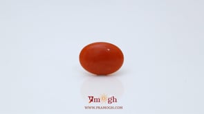 Japanese Red Coral - 2.35 Carat