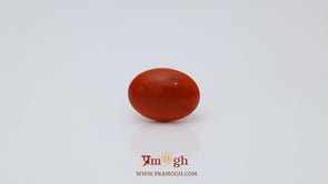 Japanese Red Coral - 2.8 Carat
