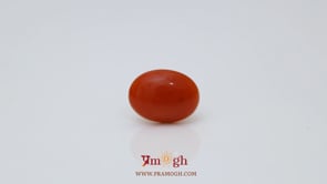 Japanese Red Coral - 2.68 Carat