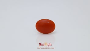 Japanese Red Coral - 2.25 Carat