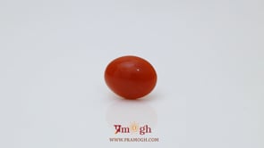 Japanese Red Coral - 2.8 Carat