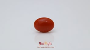 Japanese Red Coral - 2.89 Carat