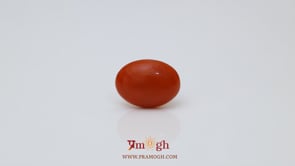 Japanese Red Coral - 2.67 Carat