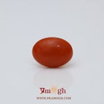 Japanese Red Coral - 2.67 Carat