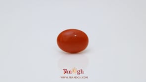 Japanese Red Coral - 2.66 Carat