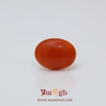 Japanese Red Coral - 2.6 Carat