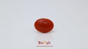 Japanese Red Coral - 2.37 Carat