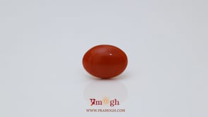 Japanese Red Coral - 2.65 Carat