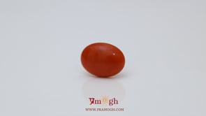 Japanese Red Coral - 2.65 Carat