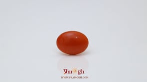 Japanese Red Coral - 2.8 Carat