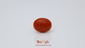 Japanese Red Coral - 2.8 Carat