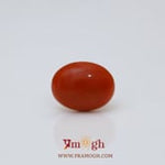 Japanese Red Coral - 2.8 Carat