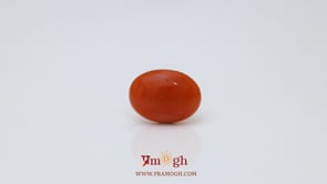 Japanese Red Coral - 2.8 Carat