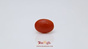 Japanese Red Coral - 2.55 Carat