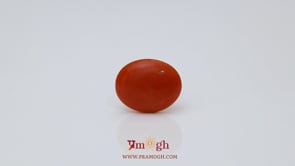 Japanese Red Coral - 2.57 Carat