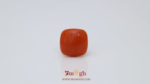 Japanese Red Coral - 2.85 Carat