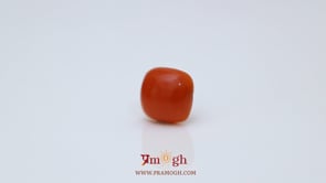 Japanese Red Coral - 2.65 Carat