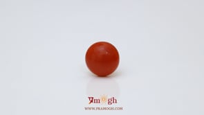 Japanese Red Coral - 2.47 Carat