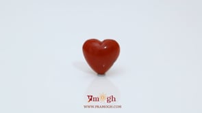 Japanese Red Coral - 2.8 Carat