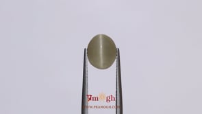 Catseye - 4.05 Carat