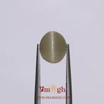 Catseye - 4.05 Carat