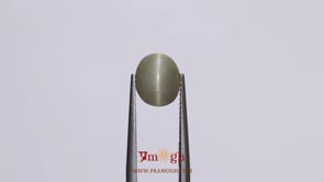 Catseye - 3.25 Carat