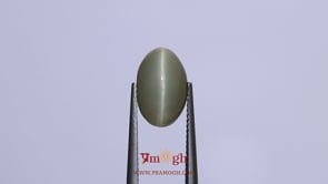 Catseye - 5.65 Carat