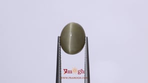 Catseye - 5.65 Carat