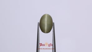 Catseye - 4.2 Carat