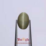 Catseye - 4.2 Carat