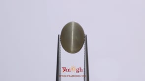Catseye - 5.1 Carat
