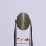 Catseye - 5.1 Carat