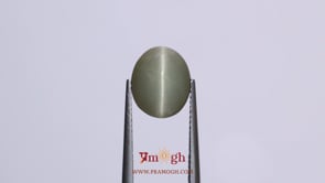 Catseye - 4.3 Carat
