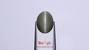 Catseye - 6.75 Carat