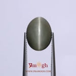 Catseye - 6.75 Carat