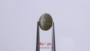 Catseye - 3.75 Carat