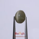 Catseye - 3.75 Carat