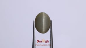 Catseye - 6.3 Carat