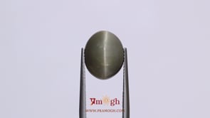 Catseye - 8.6 Carat