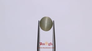 Catseye - 3.15 Carat