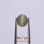 Catseye - 3.15 Carat