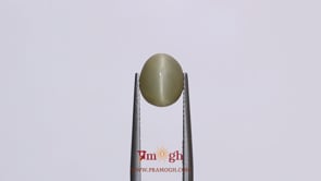 Catseye - 3.3 Carat