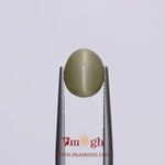 Catseye - 3.3 Carat